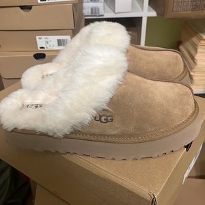 Ugg disquette chestnut women’s
